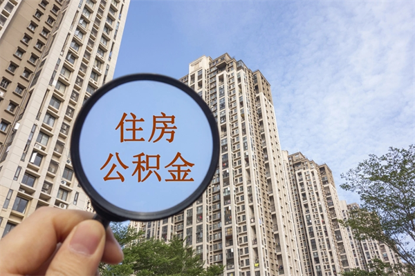 济宁个人公积金去哪儿取（住房公积金个人到哪里提取）